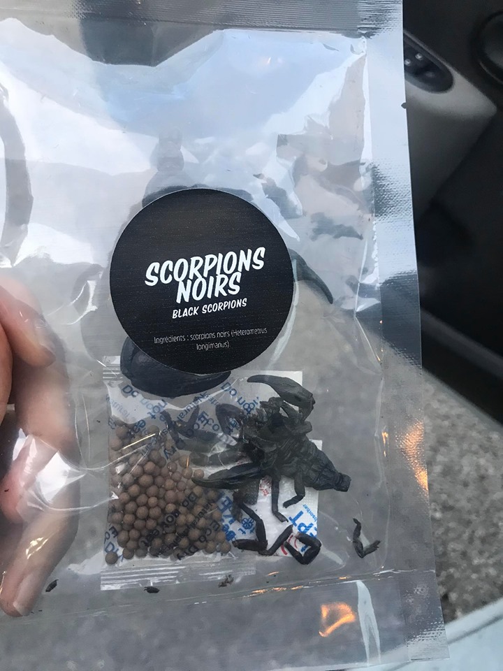 Le scorpion au poivre qui m'a coûté une blinde sur un site spécialisé !